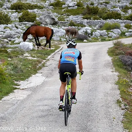 Appartement Ala Da-apartman Sa Bazenom *